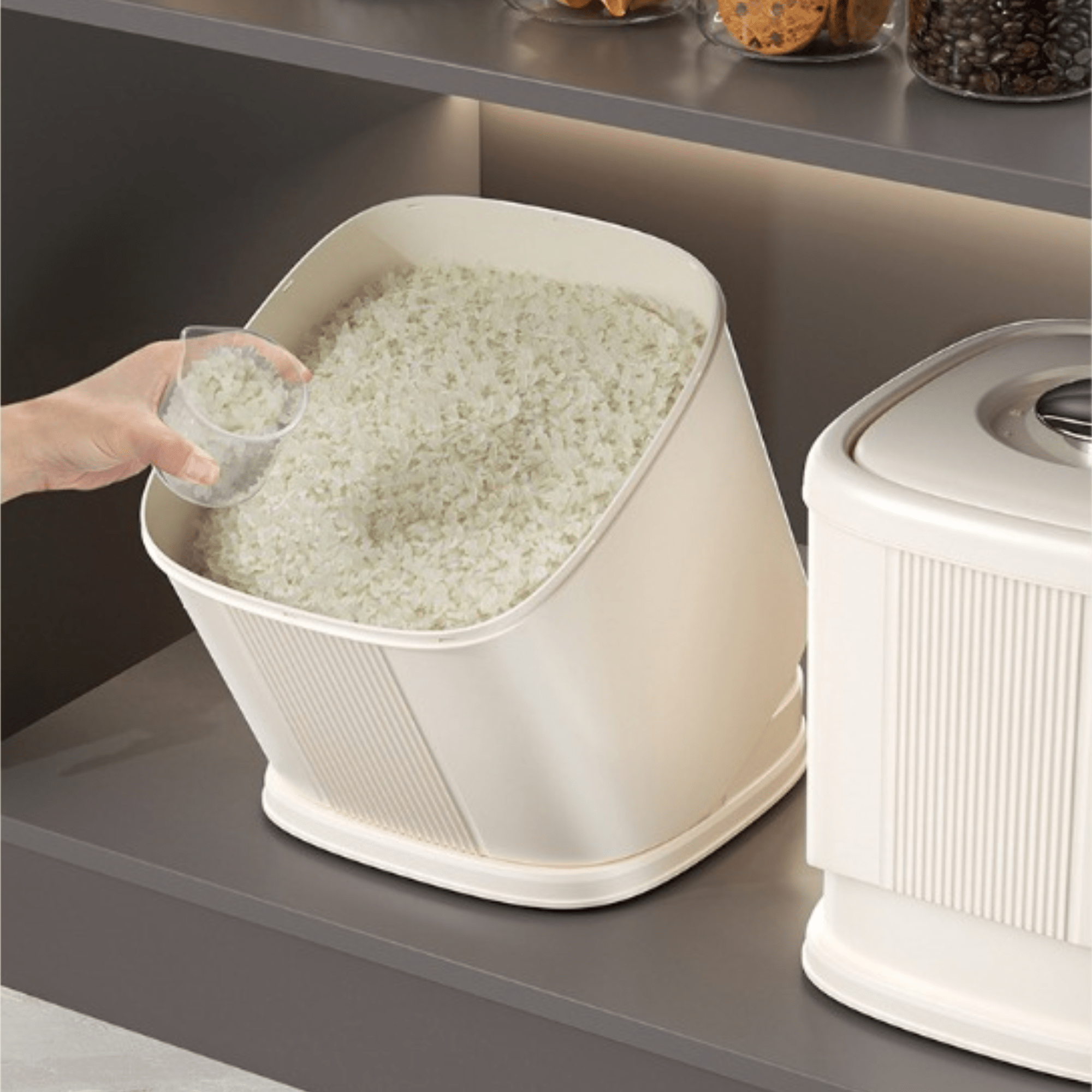 Multifunctional Plastic Moisture Proof Grain Storage Container(6Kg)