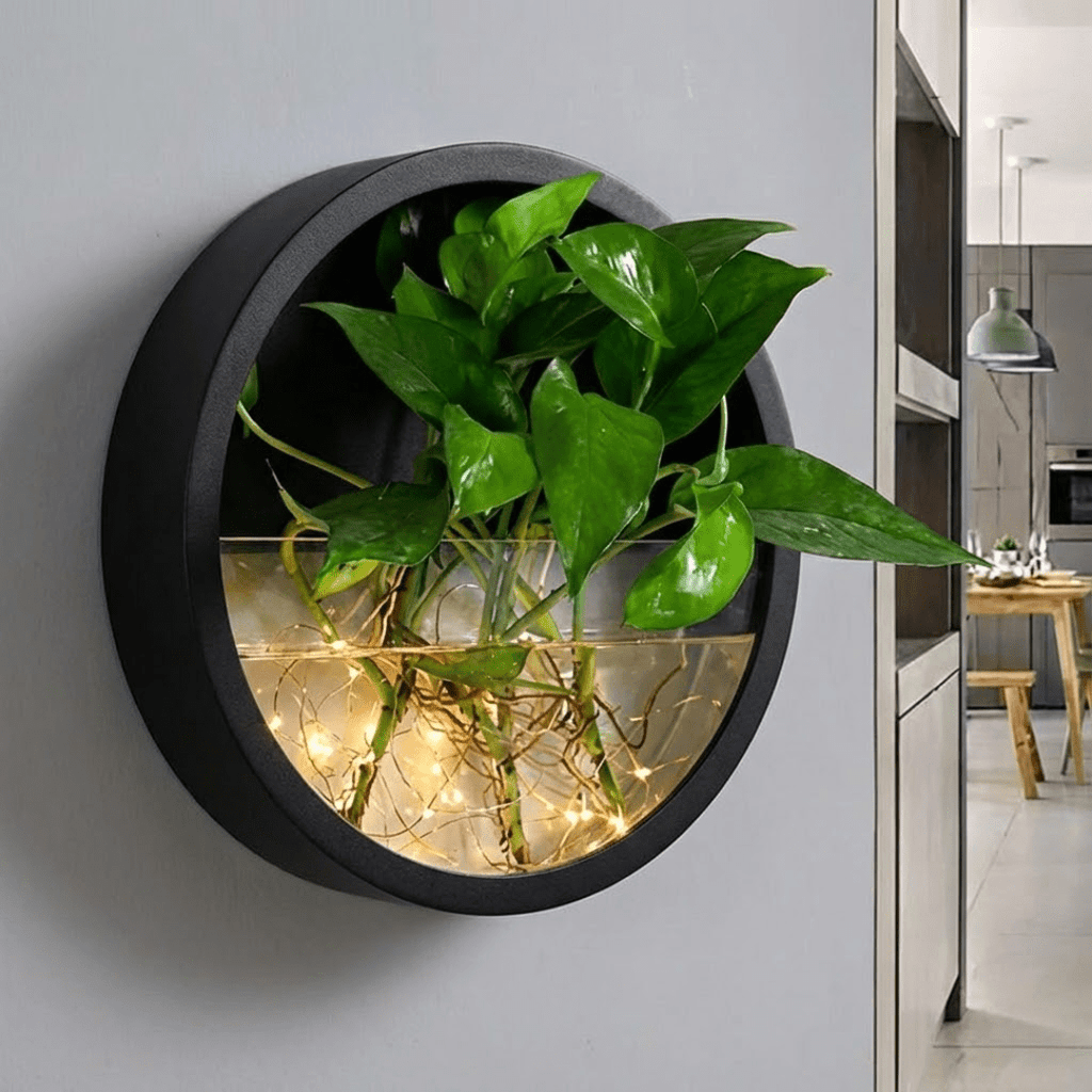 Modern Round Wall Mounted Planter for Hydroponic Plants(25cm)
