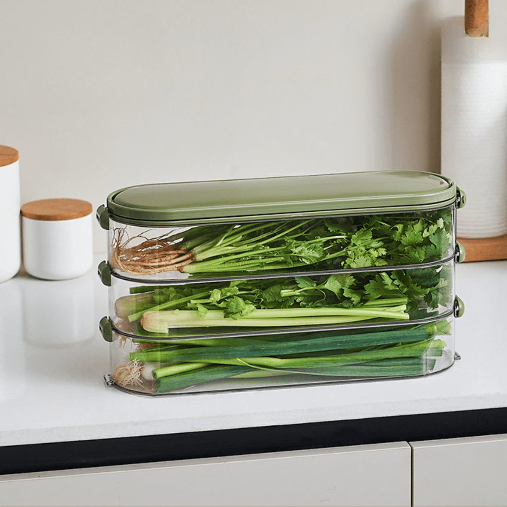 Multi-Purpose Transparent Storage Organizer Box With Handle (Green)