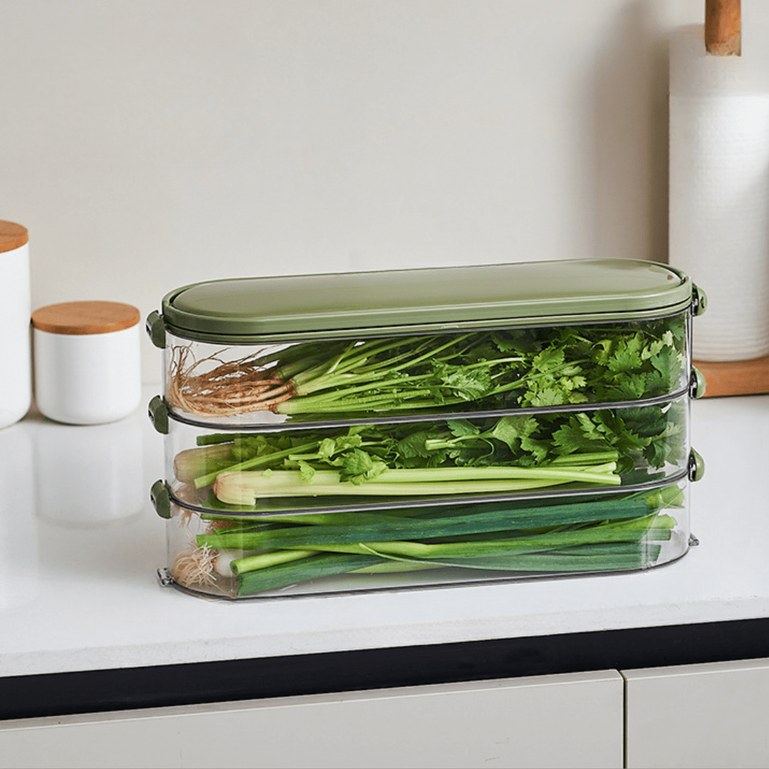 Multi-Purpose Transparent Storage Organizer Box With Handle (Green)