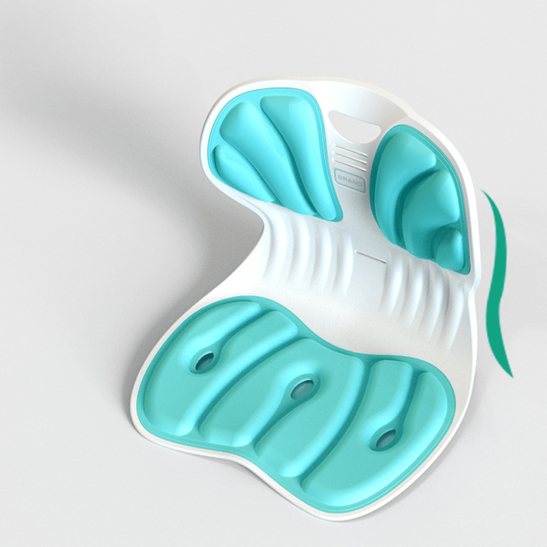 Ergonomic Waist and Back Support Cushion (36cm)