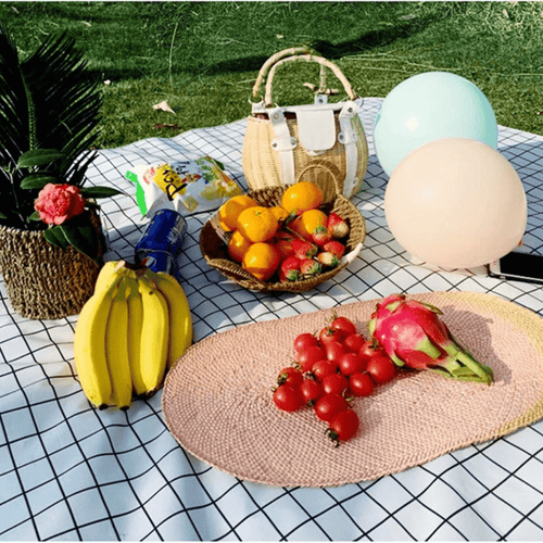 Eco Comfort Picnic Blanket