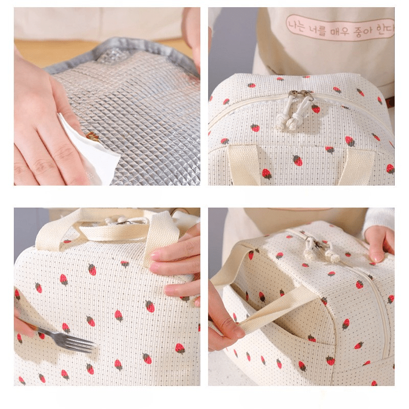 Premium Insulated & Leakproof Lunch Bag for Office, College & School (25cm)