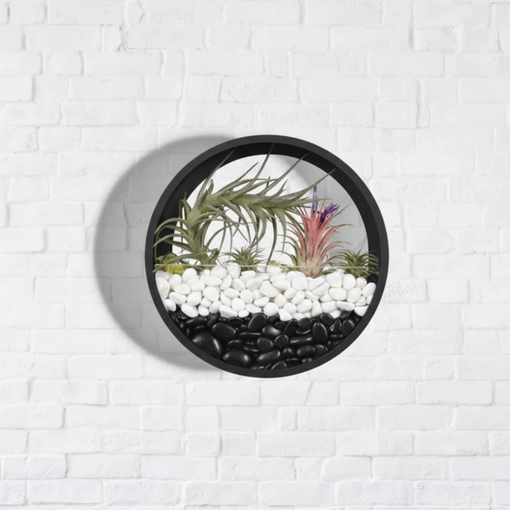 Modern Round Wall Mounted Planter for Hydroponic Plants(25cm)