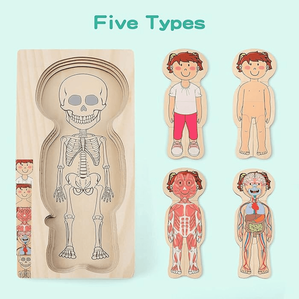 Educational Wooden Body Parts Puzzle
