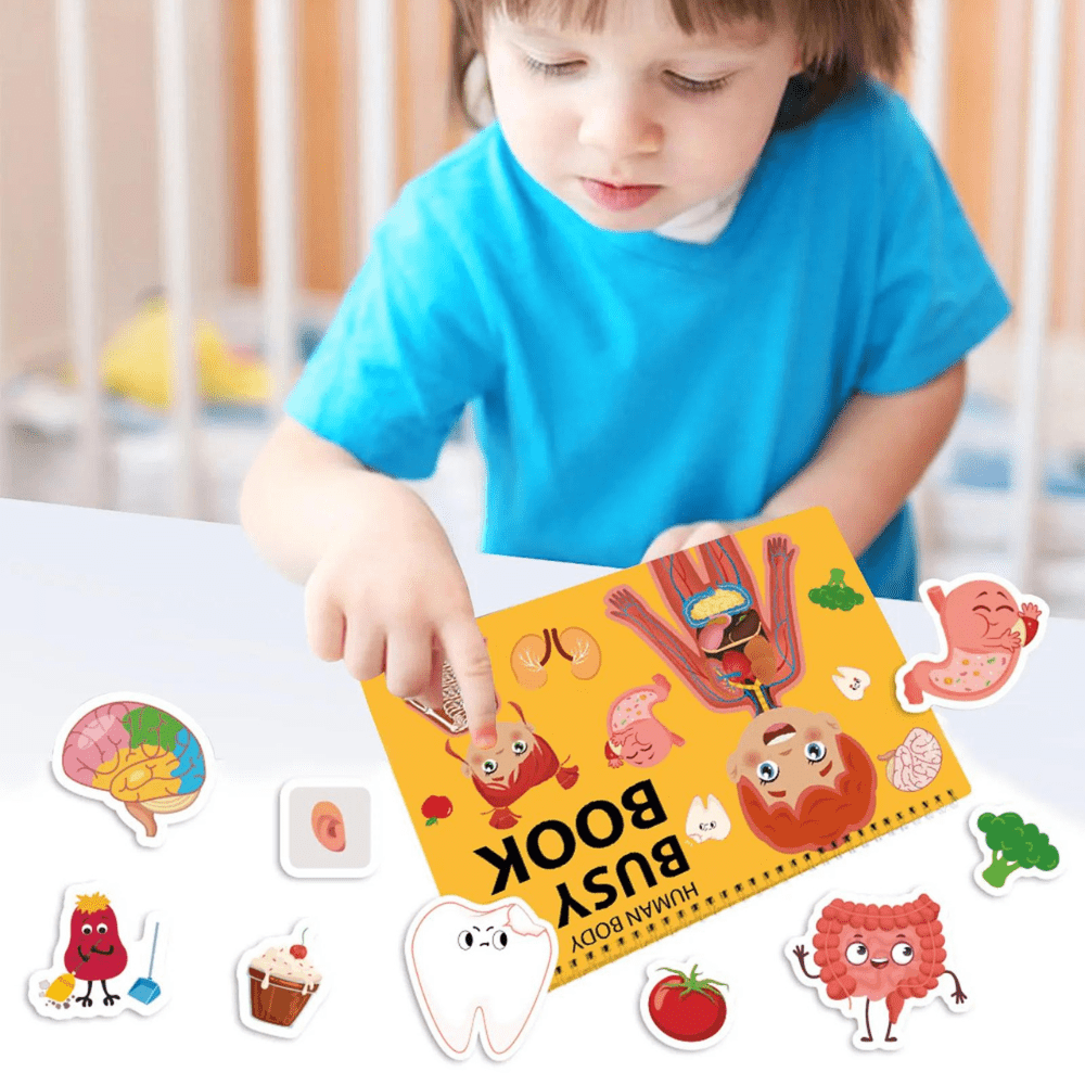 Human Body Education Interactive Learning Book