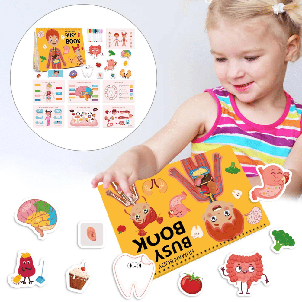 Human Body Education Interactive Learning Book