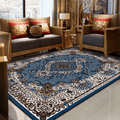 Multi-Purpose Hygroscopic Soft Home Furnishing Carpet