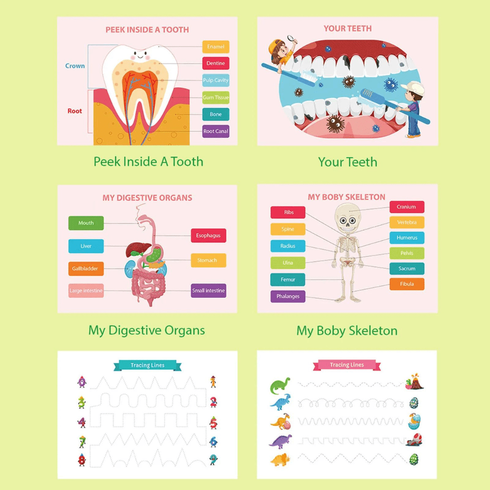Human Body Education Interactive Learning Book