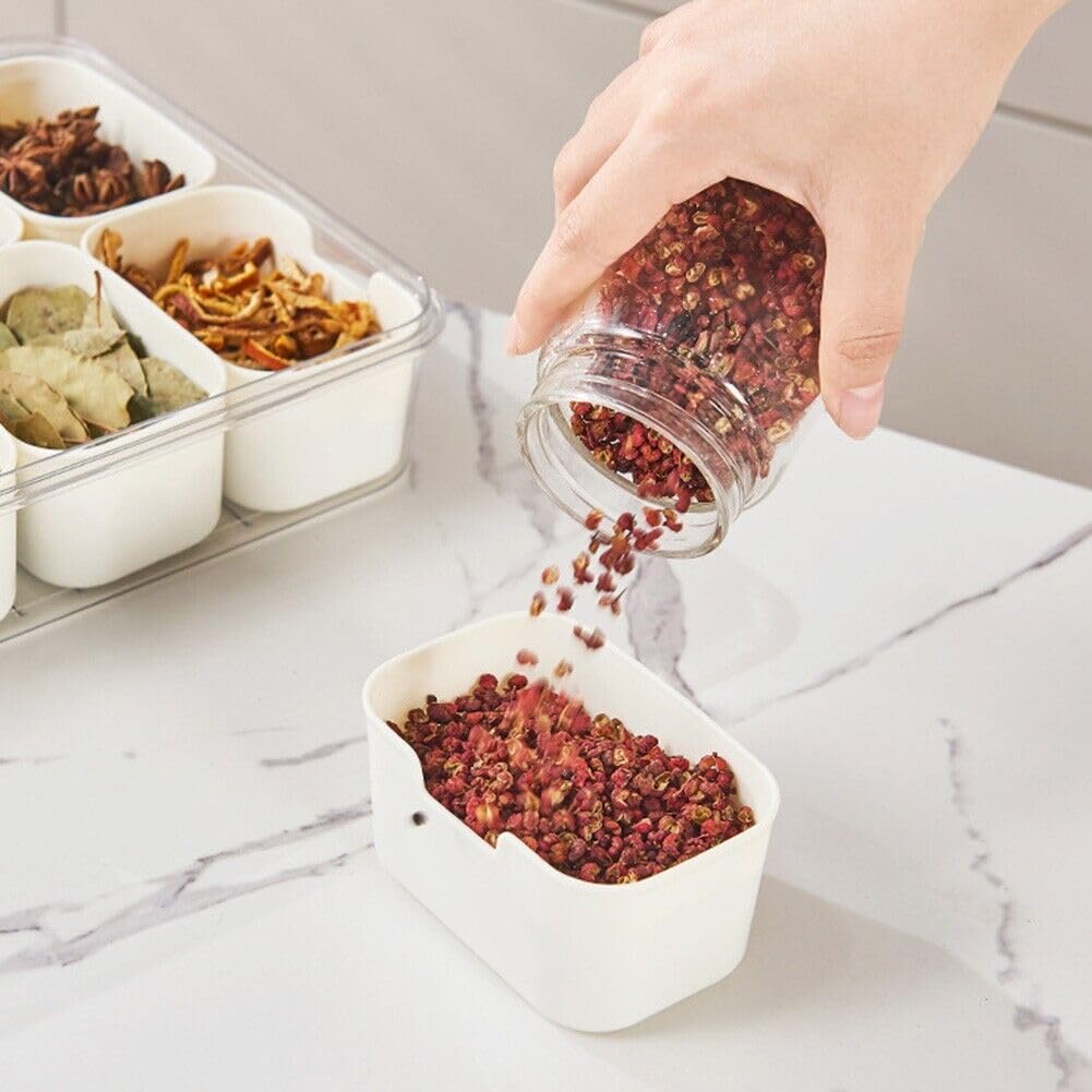 Multi Compartments Food Storage Box (8 COMPARTMENT)