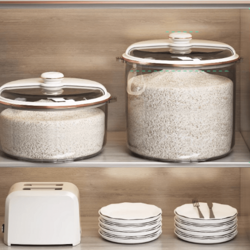 Clear View Multipurpose Storage Container
