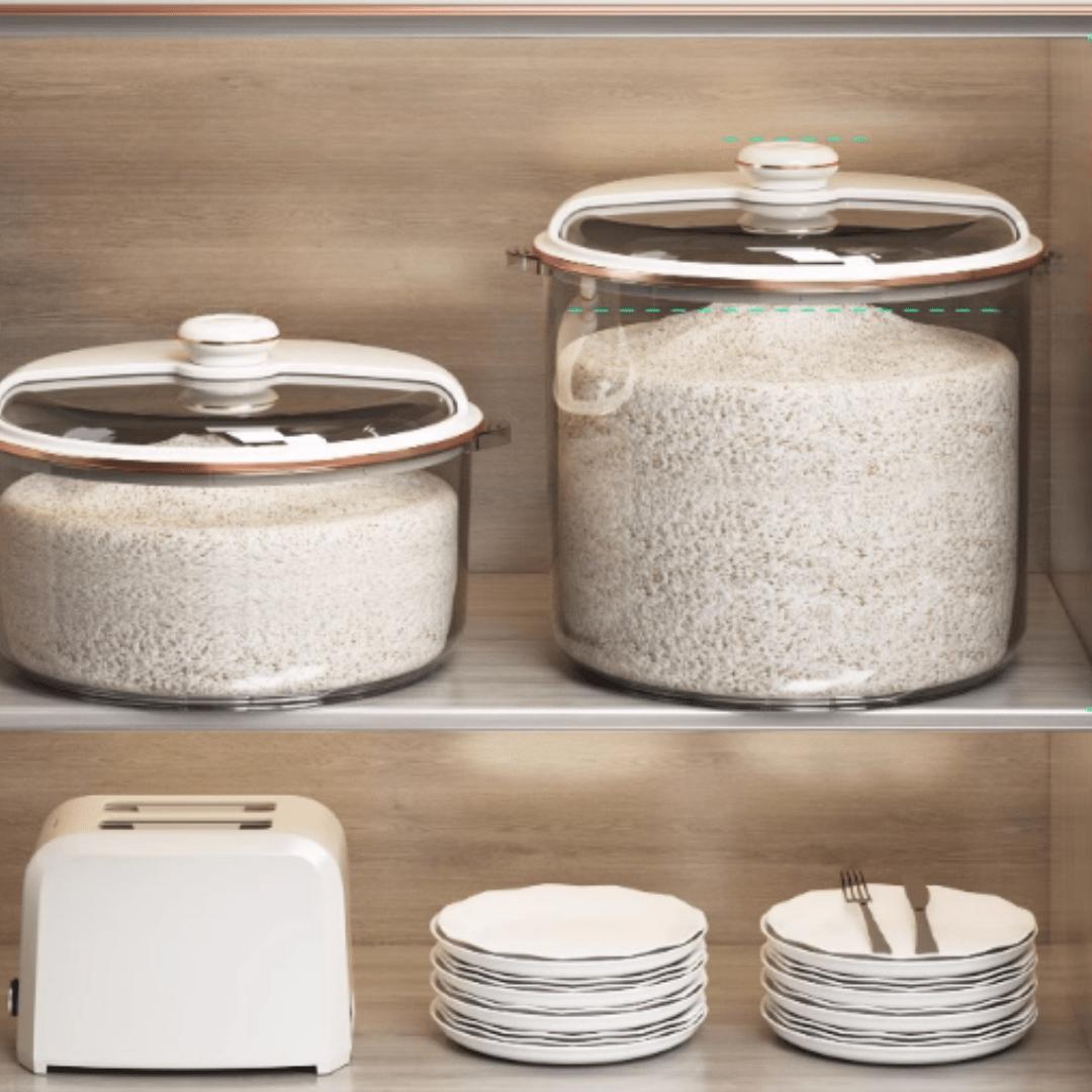 Clear View Multipurpose Storage Container