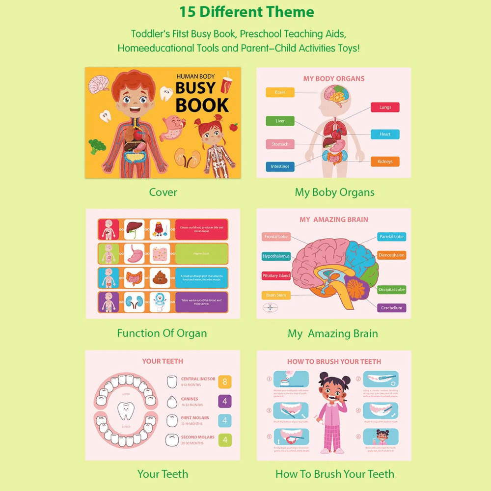 Human Body Education Interactive Learning Book