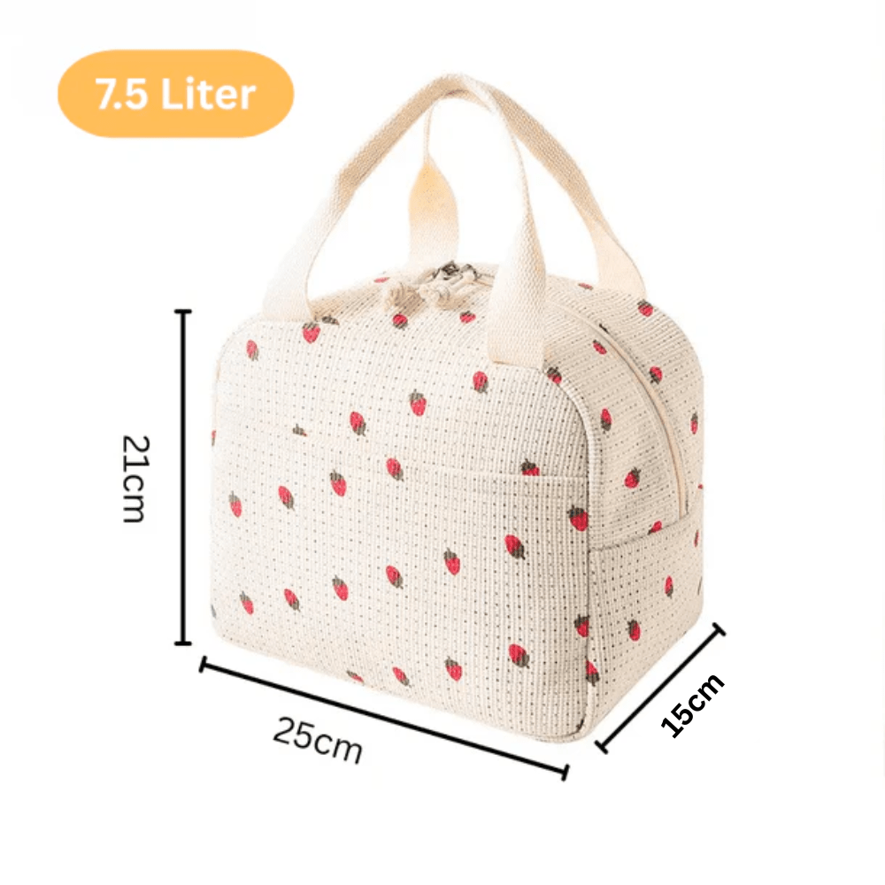 Premium Insulated & Leakproof Lunch Bag for Office, College & School (25cm)
